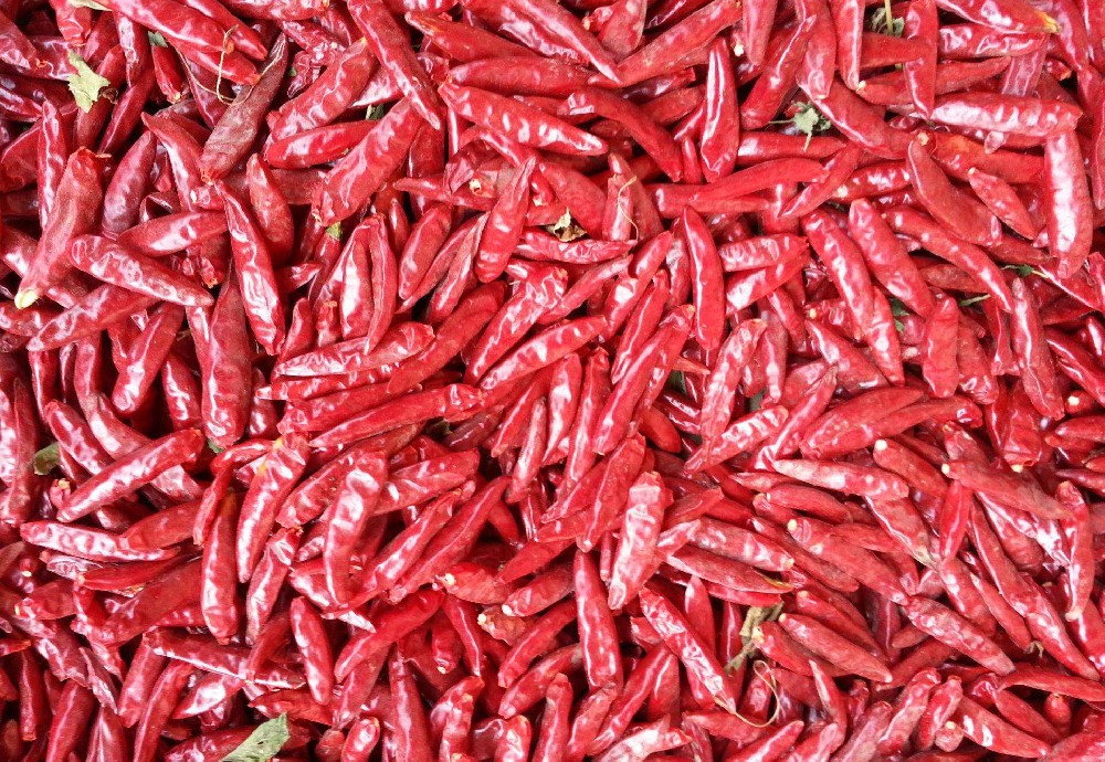 餐飲公司將把食品安全放在首位，以實踐健康信使