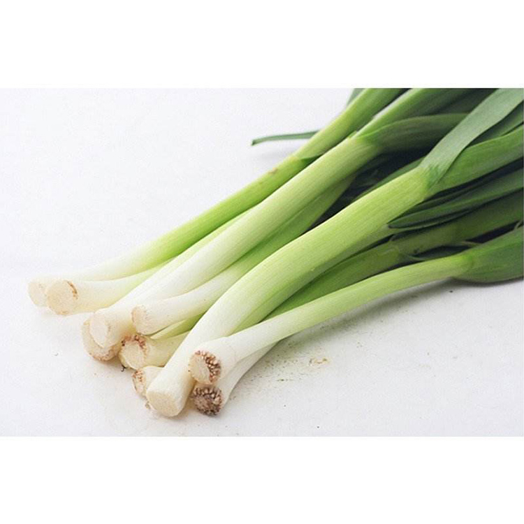 為了提高員工的福利，它將從食堂開始