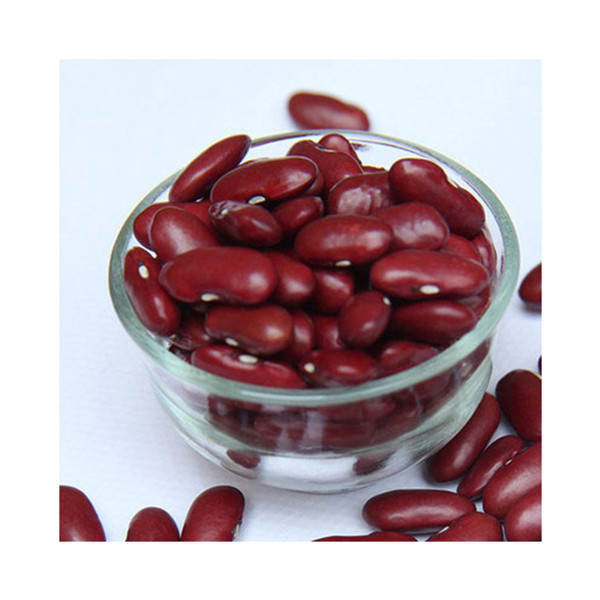 食堂提供專業(yè)、熱情的服務(wù)